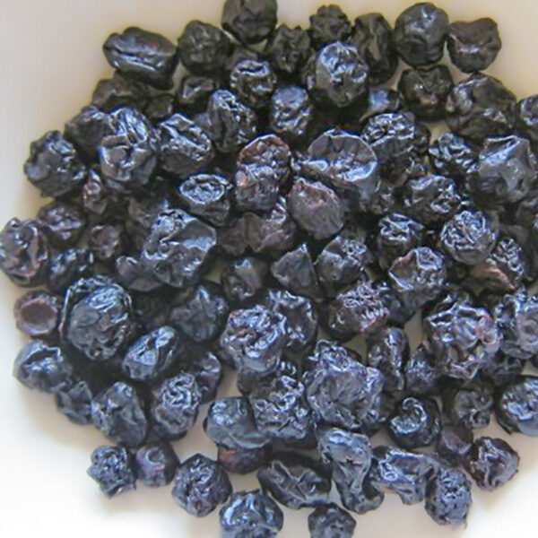 dried blueberry
