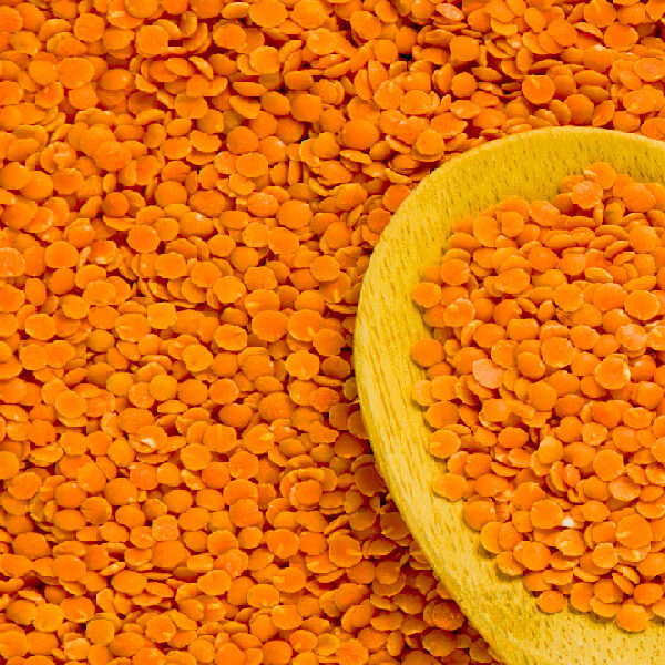 Red Split Lentils