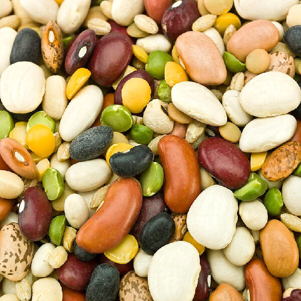 Soup Mix Minestroni