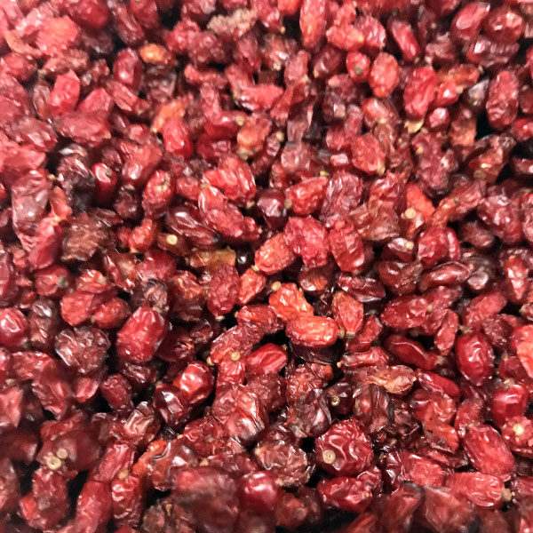 Barberry