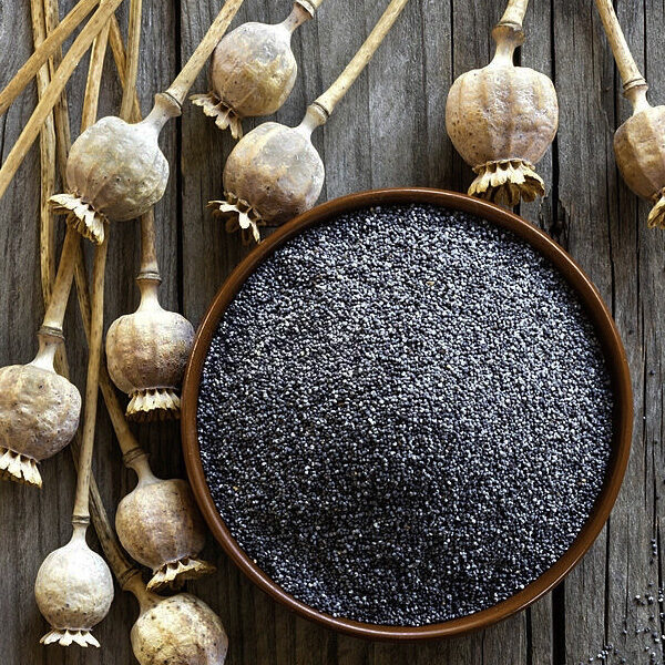 Poppy Seed