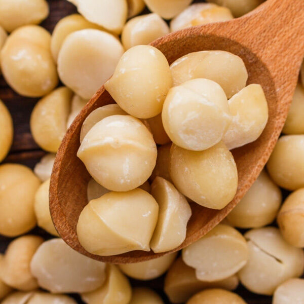 Whole Salted Roasted Macadamias