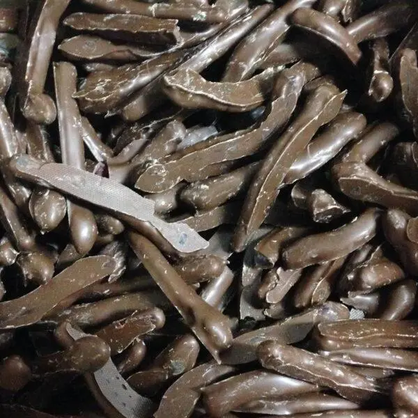 Chocolate Coated Snakes