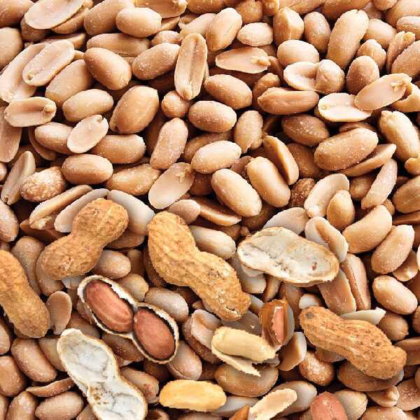 Raw-Blanched-Peanuts