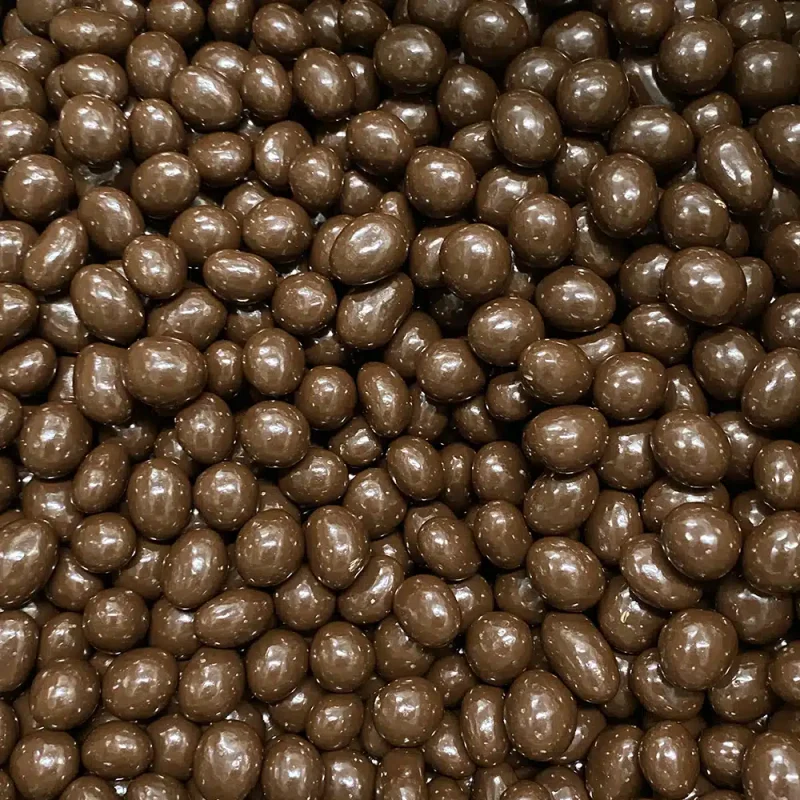 Dark Chocolate Coated Peanuts