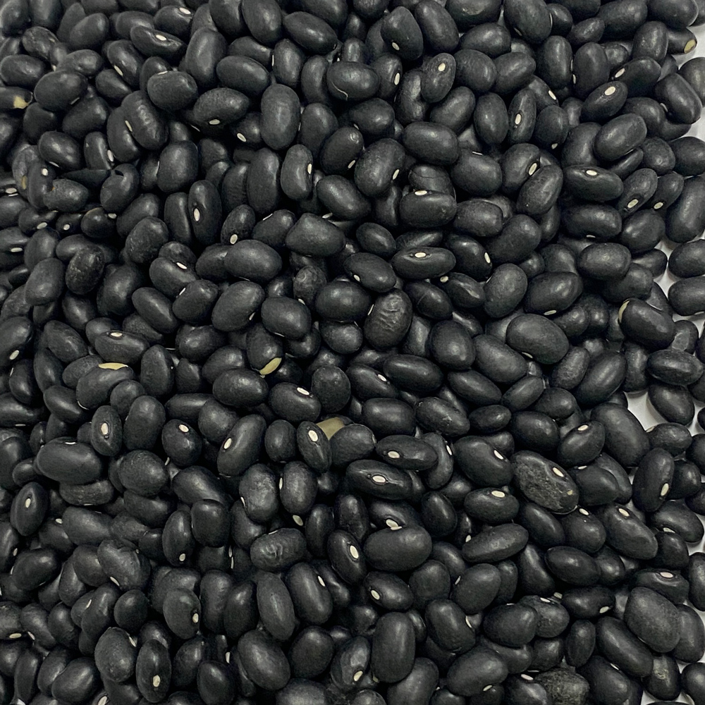 Black Turtle Beans