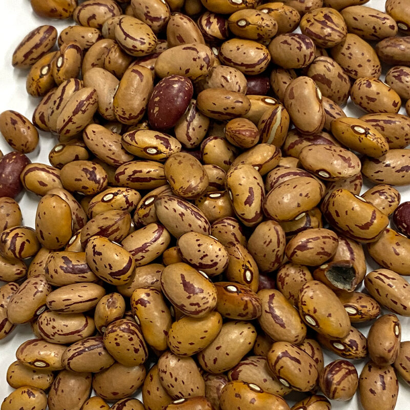 Borlotti Beans