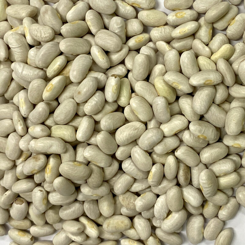 Cannelini Beans