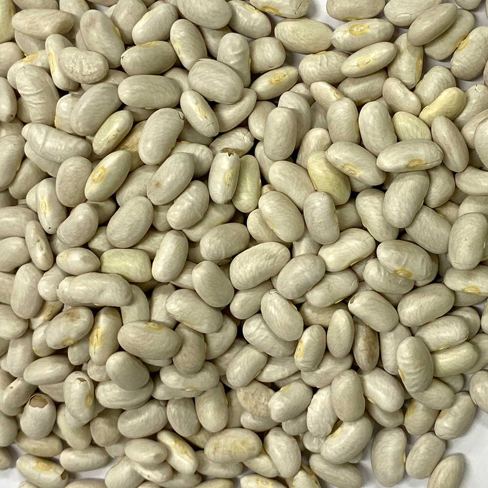 Cannelini Beans