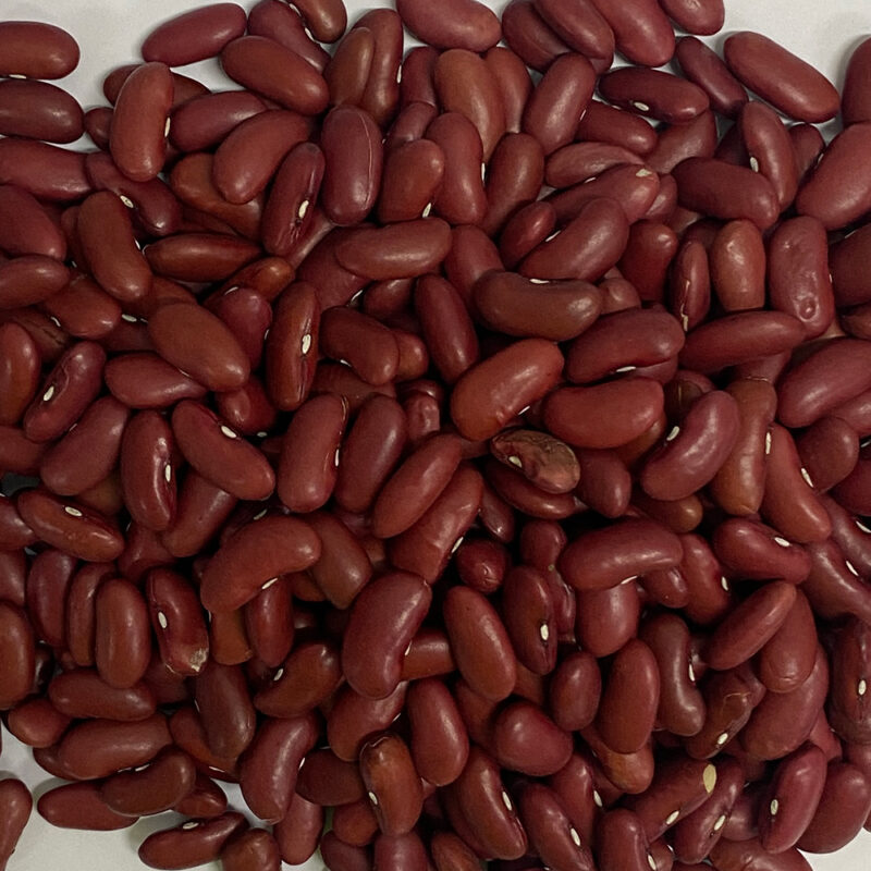 Red Kidney Beans