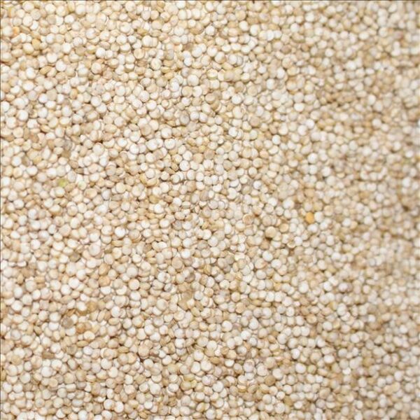 Organic  White Quinoa